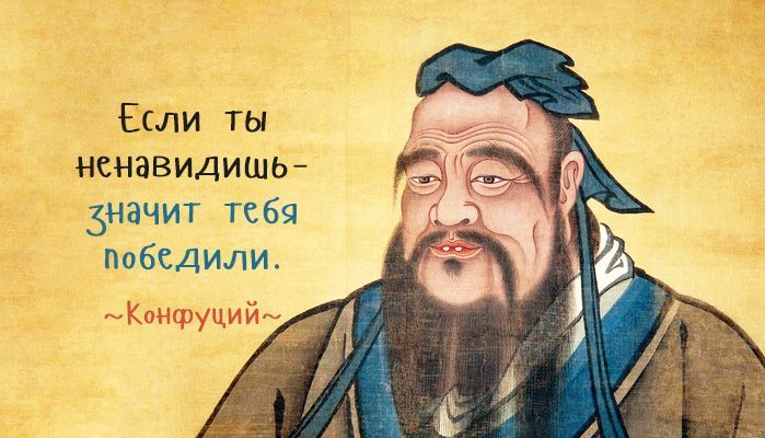 Ты мой пингвин: значение фразы и смысл